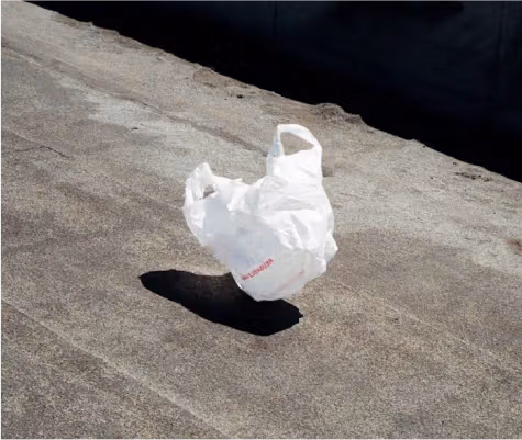 Floating plastic waste in the environmental toxins article.