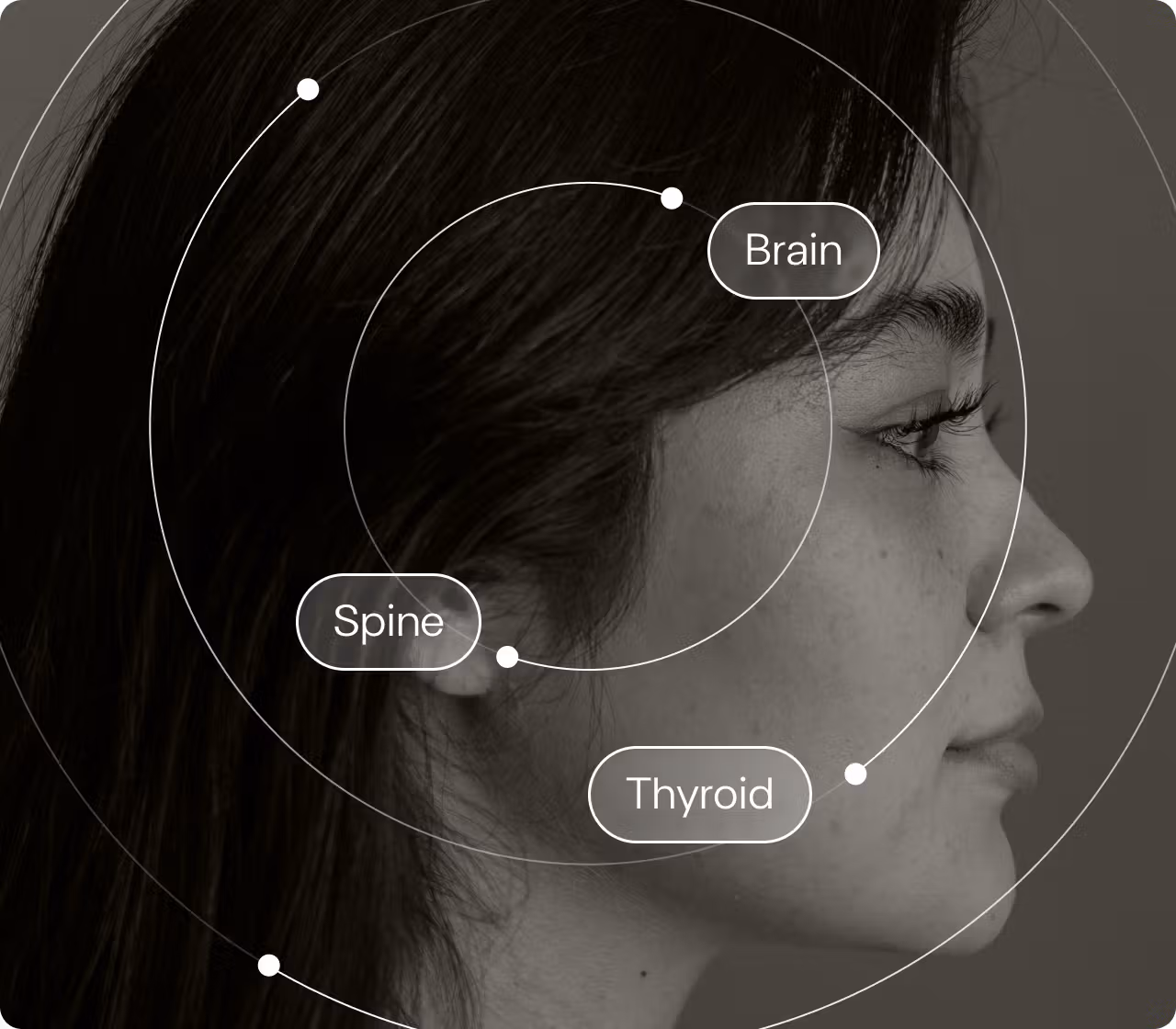 Black-and-white side profile of a person's face and neck with concentric circular lines and labeled scan areas for Brain, Spine, and Thyroid