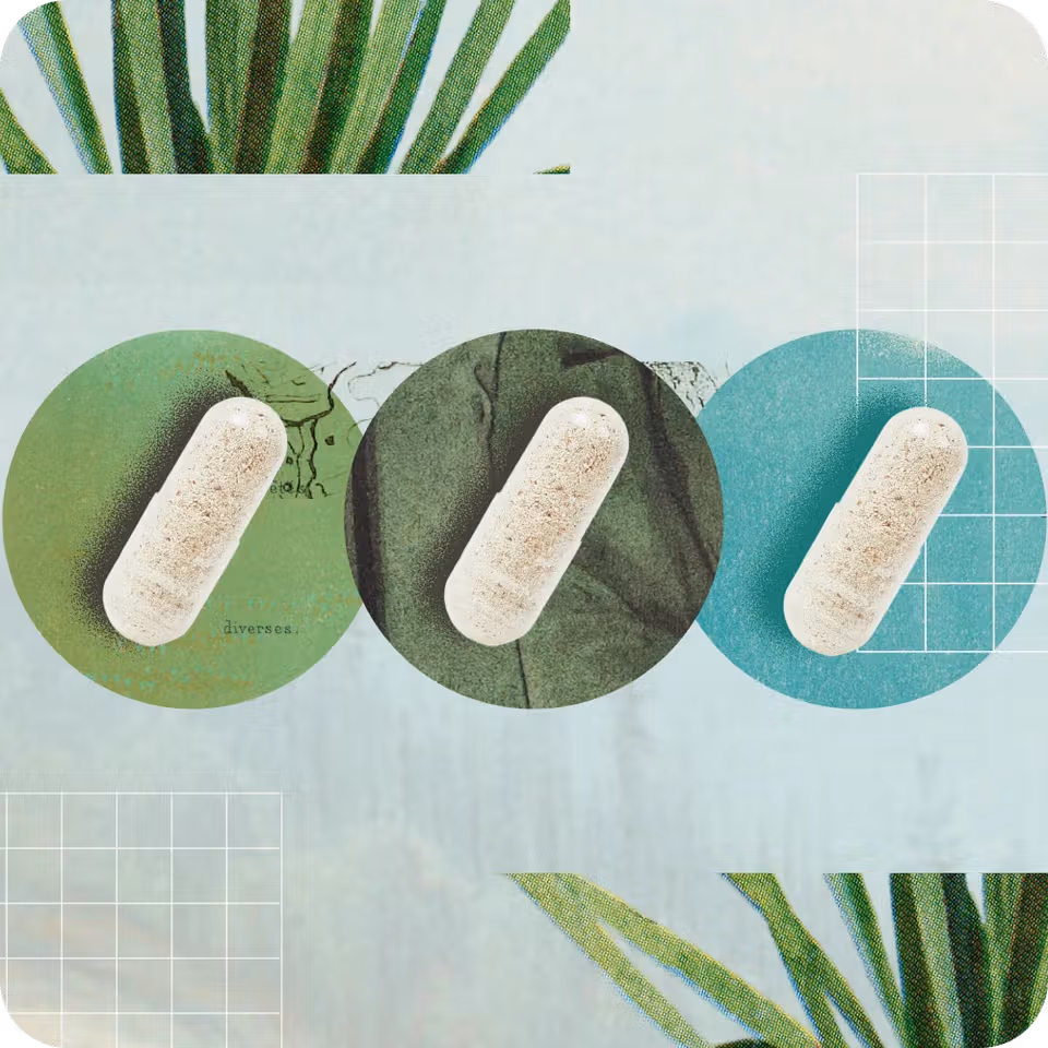 Assorted magnesium supplements during the magnesium types explainer article.