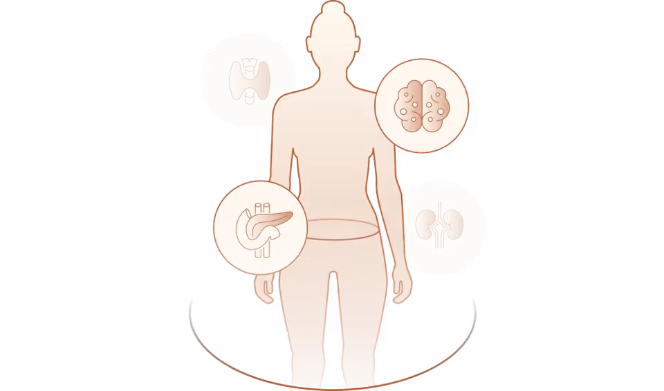 Illustration of a human body silhouette surrounded by icons of organs scanned during an MRI, including the thyroid, brain, pancreas, and kidneys.