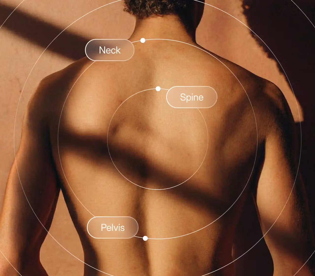 Close-up of a person's bare back with labeled anatomical markers indicating the neck, spine, and pelvis, connected by concentric circular lines.