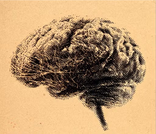 Vintage-style black illustration of a human brain on a tan paper background.
